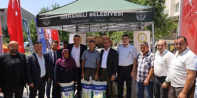 Dağ ilçelerine silajlık mısır tohumu desteği