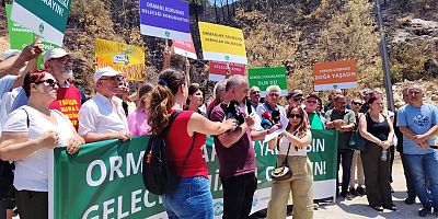 Yaşam savunucuları Bursa'da orman yangınlarına dikkat çekti
