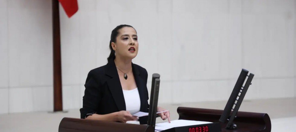 EMEP'li Sevda Karaca: 'Üretici afetle değil, yalnız bırakılarak yıkılıyor'