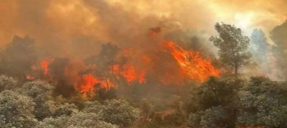 4 ildeki orman yangınlarının bilançosu ağır: 87 yapı ağır hasar aldı