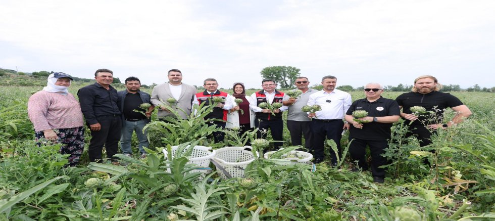 Bursa'nın tescilli lezzetinde hasat zamanı