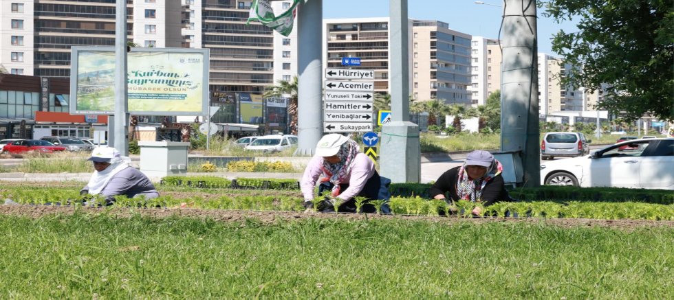 Osmangazi’nin Her Yeri Çiçeklerle Donatılıyor 