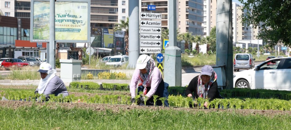 Osmangazi’nin Her Yeri Çiçeklerle Donatılıyor 