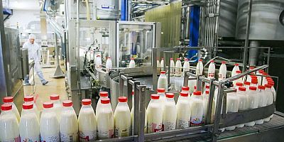 30 ülkeye ihracat yapan süt firması iflas etti