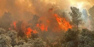4 ildeki orman yangınlarının bilançosu ağır: 87 yapı ağır hasar aldı