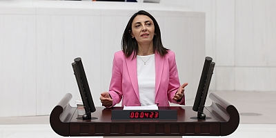 Altaca Kayışoğlu: “İnsan hakları ihlalleri artıyor, denetim mekanizmaları yok”