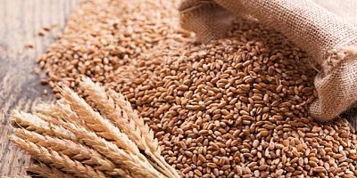 Buğday fiyatlarında ralli