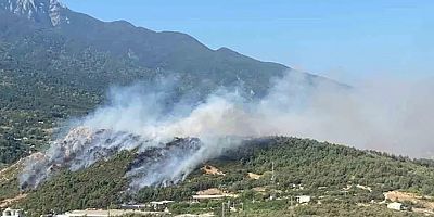 Bursa’da aynı anda 3 noktada yangın