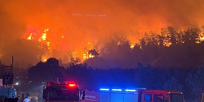 Bursa Su Kollektifi; Ormanlarımız Neden Yanıyor, Neden Söndüremiyoruz?