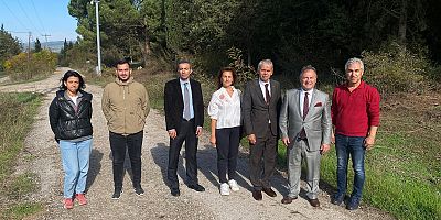 Bursa tarımına akademik bakış