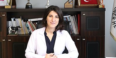 Bursa Veteriner Hekimler Odası'ndan Kritik Çağrı: 