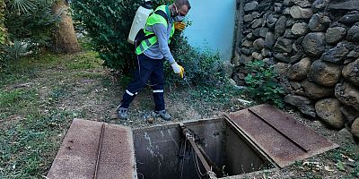 Büyükşehir sinekle mücadeleyi aralıksız sürdürüyor