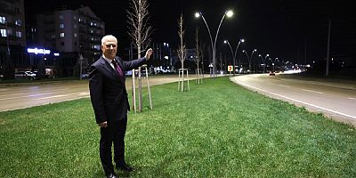 Çalı Yolu Büyükşehir ile aydınlandı