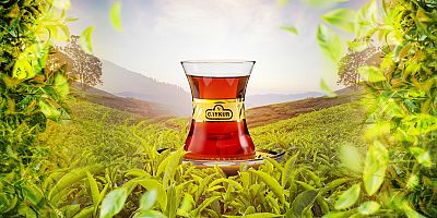 ÇAYKUR kuru çay fiyatlarına yüzde 7,5 zam yaptı