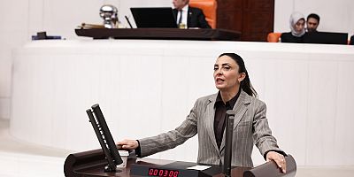 CHP Bursa Milletvekili Nurhayat Altaca Kayışoğlu 