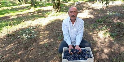 CHP’li Eşiyok’tan Marmarabirlik’e sert tepki: Bir avuç üyeli kooperatif kadar olamadınız