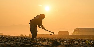 CHP'li Gürer icra verilerini açıkladı: 'Çiftçi borçla boğuşuyor, hacizler durdurulsun'