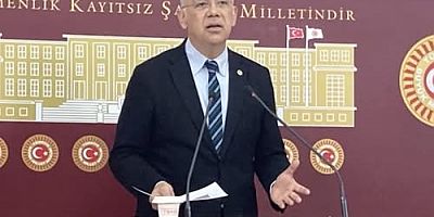 CHP’li Pala: ASM Grup elemanları sağlık hizmeti vermelerine rağmen yasal haklardan mahrumlar