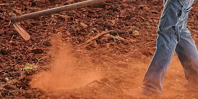 Çiftçinin enflasyonu belli oldu: Tarımda maliyet yıllık yüzde 31,45 arttı