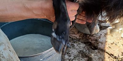 Çiğ süt fiyatlarına zam yapıldı: Litresi 18,35 TL'ye yükseldi