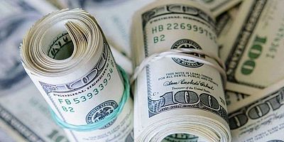 Doların 3 ay sonra ne kadar olacağını açıkladı!
