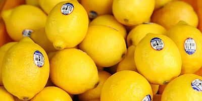 Dört ayda 191 milyon dolarlık limon ihraç edildi, içeride fiyatlar el yakıyor