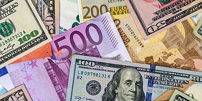 Döviz kuru tekrar yükselişe geçti