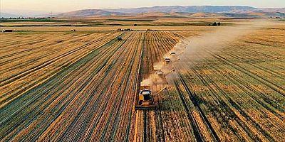 Dünya tahıl üretimi rekor kıracak, ancak buğday ve mısırda risk kapıda