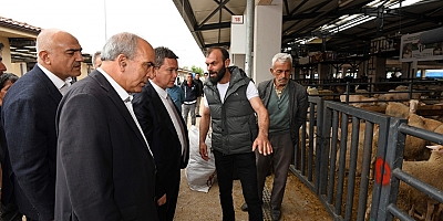 Erkan  Aydın Kurban Pazarında Yetiştiriciler ve Vatandaşlarla Buluştu''Kurban Satış ve Kesim Alanları Hizmete Hazır'