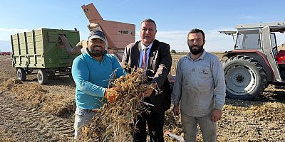 Üreticide 35 lira, marketlerde 175 lira