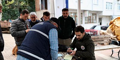 Gemlik Belediyesi İle Gemtar ’dan Üreticiye Destek Zeytin Alımları Sürüyor