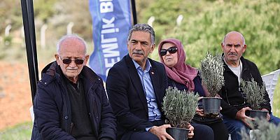 Gemlik Belediyesi Lavanta Bahçesi Kuruyor