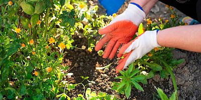 Gübre satışlarının durdurulduğu iddiası Meclis gündemine taşındı