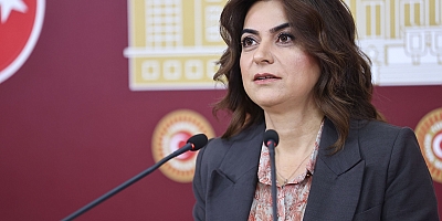 Gülistan Kılıç Koçyiğit: “Yangınların sorumlusu AKP'dir”