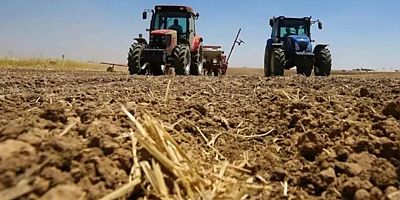 Gümrükten dönen ürünler artabilir: AB pestisit kurallarını sertleştiriyor