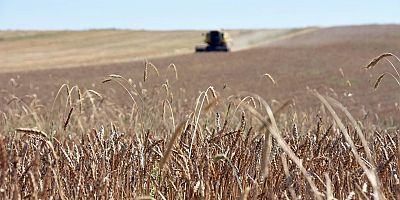 Hububat alım fiyatları çiftçinin beklentisini karşılamaktan uzak