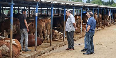 İlk 5 ayda gıda ve hayvan ithalatı arttı