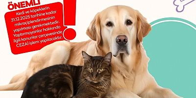 İnegöl Belediyesi’nden Evinde Kedi-Köpek Besleyenlere Mikroçip Uyarısı