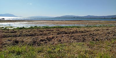 İznik Gölü sanayiye kurban ediliyor