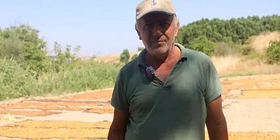 Kayısı üreticisi isyan etti: Sadaka değil hakkımızı istiyoruz