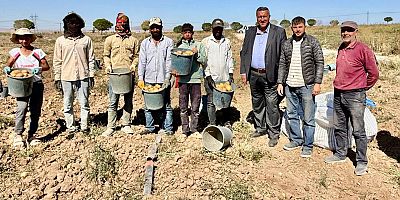 Kışlık patates hasadı sorunlu başladı: Üretici 'Çalıştıkça batıyoruz' diyor