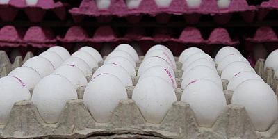 Küçük boy yumurtaya fahiş zam yapıldı