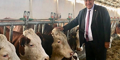 Milletvekili Ömer Fethi Gürer açıkladı: Gebe inekler dahi haciz edildi