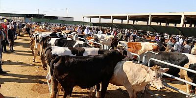 Milyonlarca aile etin kokusunu dahi duyamıyor