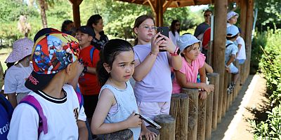 Minik kaşifler Hayvanat Bahçesi'nde
