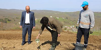 Nilüfer’de atıl arazilere 400 fidan ekildi