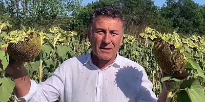 Orhan Sarıbal: Ayçiçeğinde 28 TL alım fiyatı maliyet karşısında yetersiz üretici zararda
