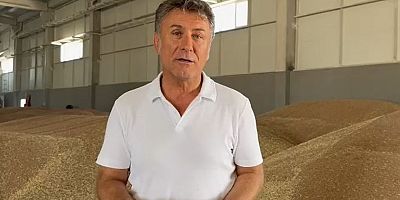 Orhan Sarıbal, Mercimek'te 