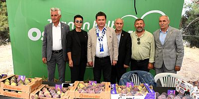 Osmangazi Belediyesi’nden Dünyaca Ünlü Siyah İncire Festival