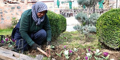 Osmangazi’de 2026 Yılında 470 Bin Çiçek Toprakla Buluşacak